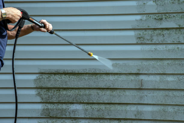 Animal Enclosure Cleaning in Southmayd, TX